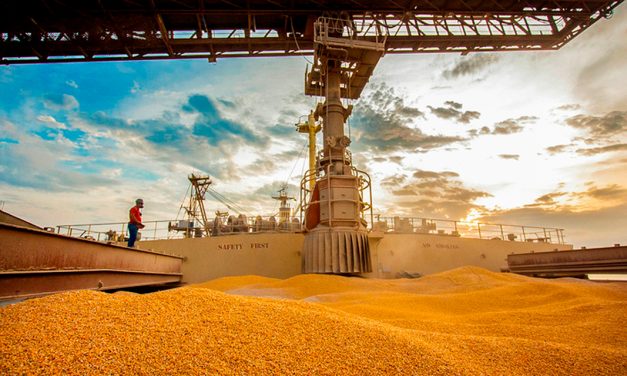 Com crescimento de 77% em 2024, Paraná ocupa segundo lugar nas exportações de milho