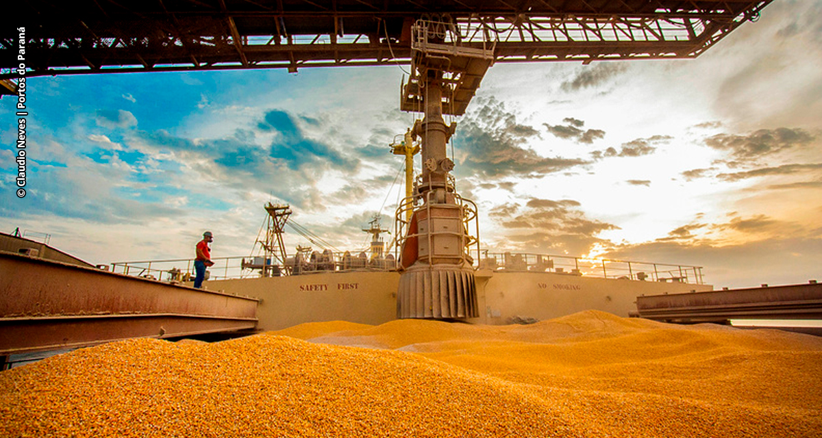 Com crescimento de 77% em 2024, Paraná ocupa segundo lugar nas exportações de milho