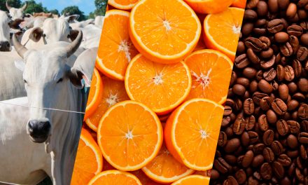 Agro paulista registra superávit de US$ 6,72 bilhões com bom desempenho da carne bovina, suco de laranja e café