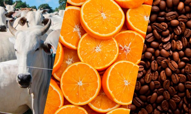 Agro paulista registra superávit de US$ 6,72 bilhões com bom desempenho da carne bovina, suco de laranja e café