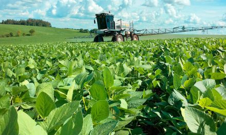 Agricultura piauiense pode ter salto de eficiência com adjuvantes de alta tecnologia