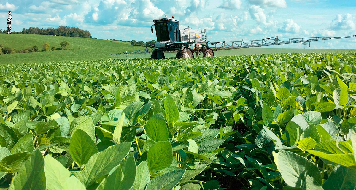 Agricultura piauiense pode ter salto de eficiência com adjuvantes de alta tecnologia