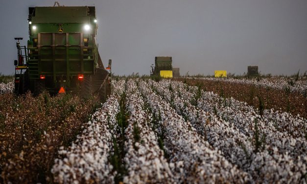 Soluções de alto desempenho para o algodão são destaques no Cotton Day