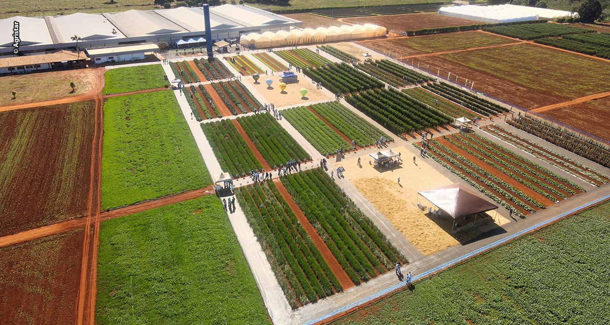 Open Field Day 2025 começa na próxima quarta-feira (25/06) e destaca lançamentos e tecnologias para horticultura