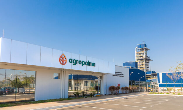 Bioenergia é a aposta da Agropalma para diminuir em 50% suas emissões operacionais até 2030