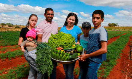 Governo federal anuncia investimento de R$ 89 bilhões na agricultura familiar
