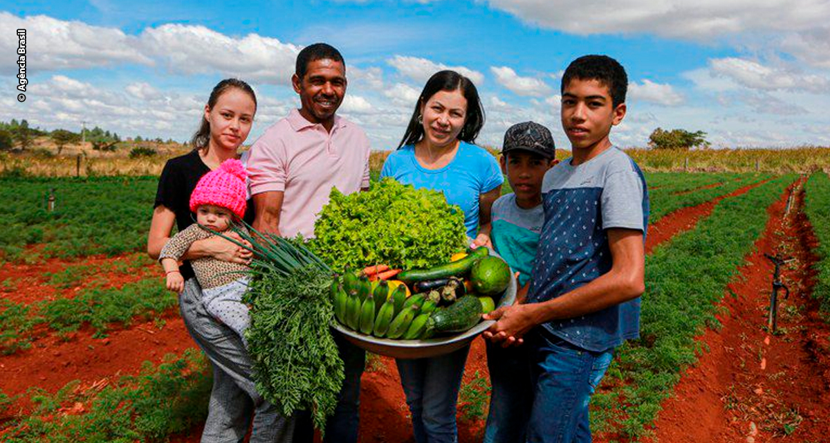 Governo federal anuncia investimento de R$ 89 bilhões na agricultura familiar