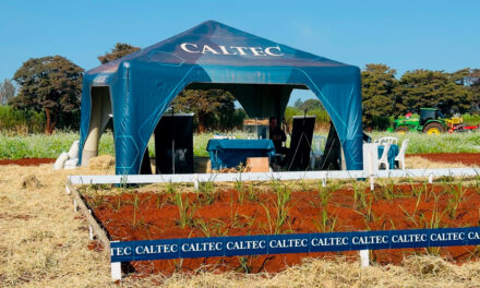 Caltec receberá produtores com experiência imersiva e prática durante a CanaShow 2025