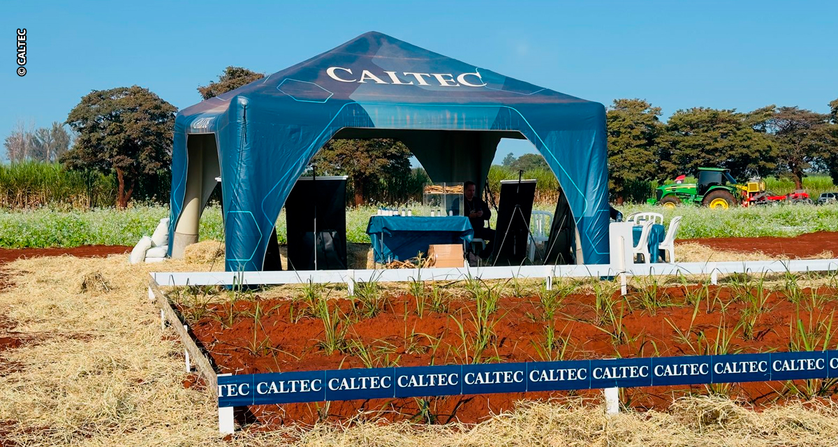 Caltec receberá produtores com experiência imersiva e prática durante a CanaShow 2025