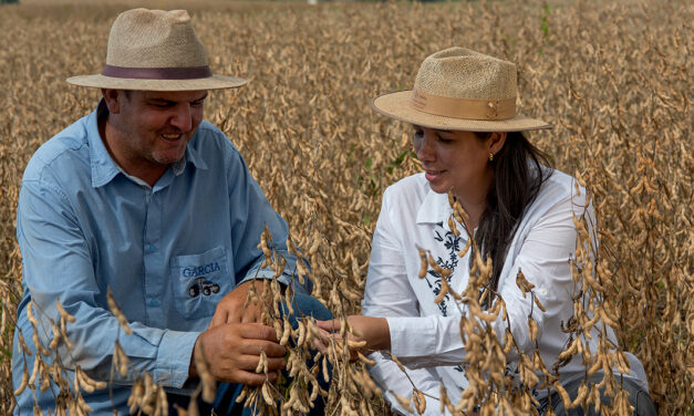 Unilever Alimentos e CJ Selecta anunciam investimento de 5.5 milhões de Euros em programa de agricultura regenerativa para soja