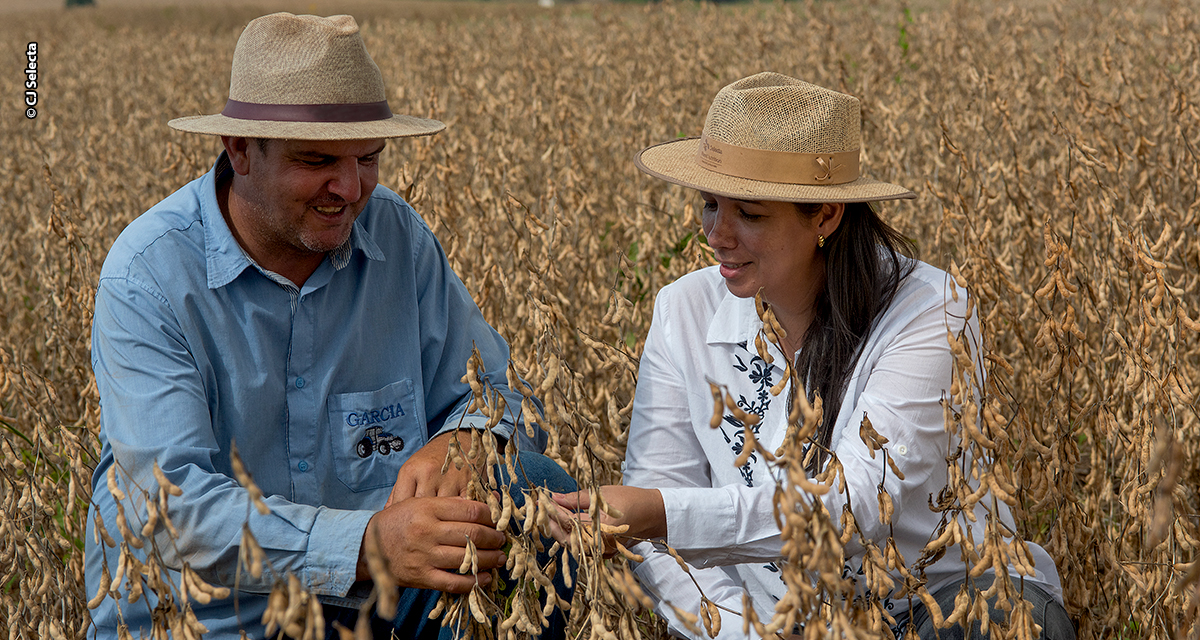 Unilever Alimentos e CJ Selecta anunciam investimento de 5.5 milhões de Euros em programa de agricultura regenerativa para soja
