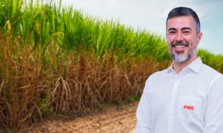 Até julho, estresse hídrico é a grande preocupação dos produtores canavieiros