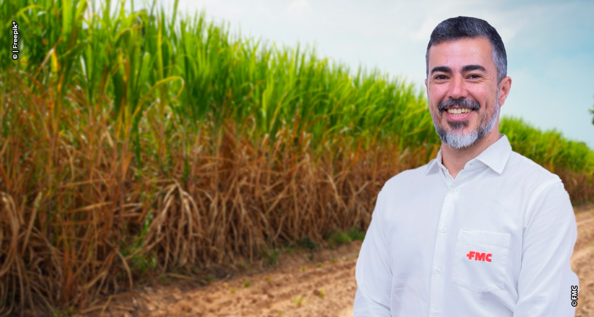 Até julho, estresse hídrico é a grande preocupação dos produtores canavieiros