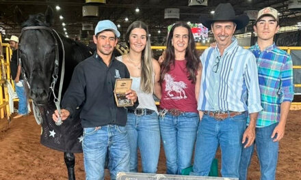 O que está por trás do conjunto brasileiro recordista mundial dos Três Tambores?