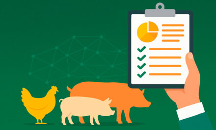 Nutrição personalizada se consolida como tendência na produção animal e amplia potencial de lucratividade