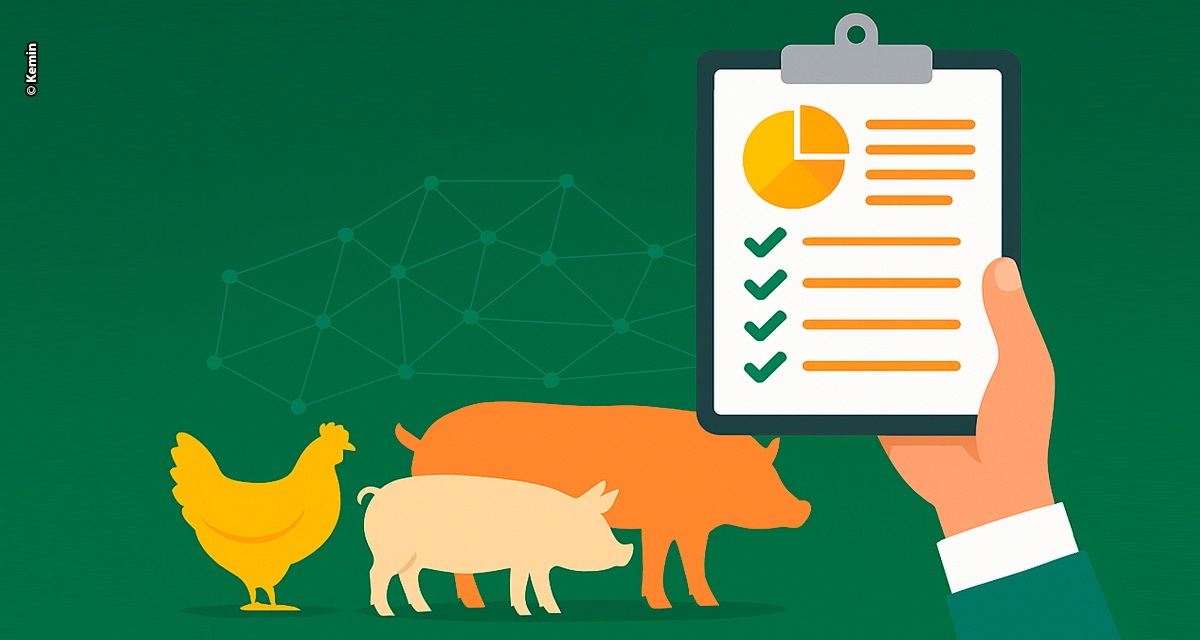 Nutrição personalizada se consolida como tendência na produção animal e amplia potencial de lucratividade