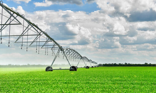 Paraná tem investido para ampliar o número de projetos de irrigação para produtores rurais em meio a seca e perdas de safra