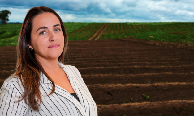 A nova onda de valorização das terras agrícolas