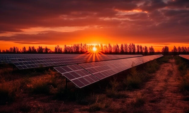 Agronegócio impulsiona expansão da energia solar no Mato Grosso do Sul