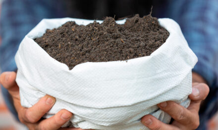 Fertilizantes orgânicos ajudam no combate à desertificação e protegem a saúde do solo