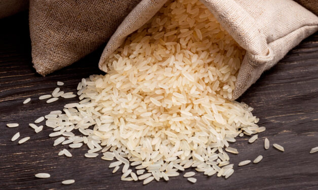 Brasil exporta 389,2 mil toneladas de arroz beneficiado no primeiro semestre de 2025