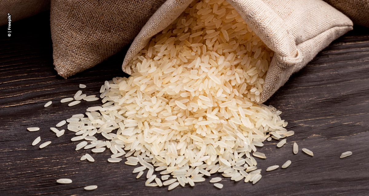 Brasil exporta 389,2 mil toneladas de arroz beneficiado no primeiro semestre de 2025