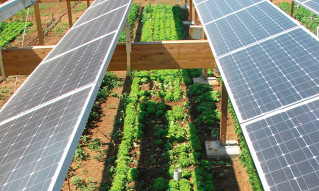 Plano Safra reduz recursos para transição energética com energia solar e sistemas de armazenamento, alerta ABSOLAR