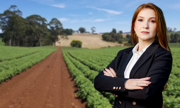 Abusos na aplicação de cláusulas ambientais em contratos do agronegócio geram risco aos produtores