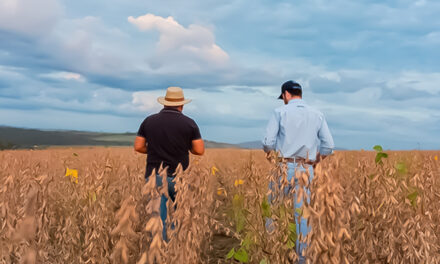 No CBSoja 2025, BASF apresenta inovação para alavancar negócios de agricultores