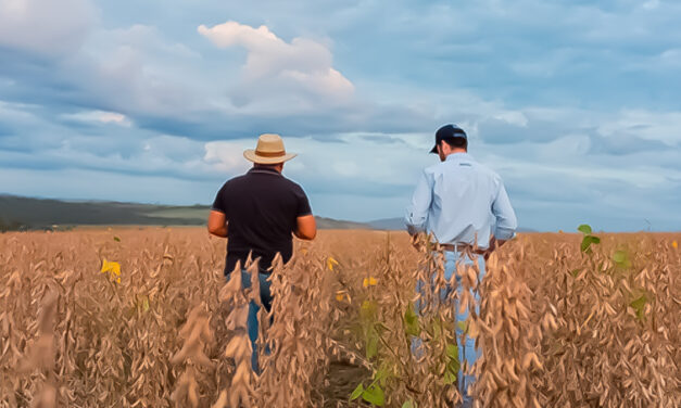 No CBSoja 2025, BASF apresenta inovação para alavancar negócios de agricultores