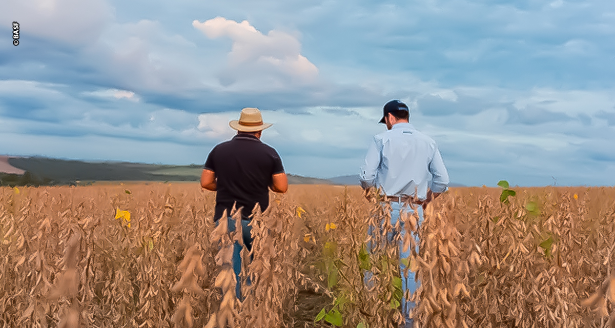 No CBSoja 2025, BASF apresenta inovação para alavancar negócios de agricultores