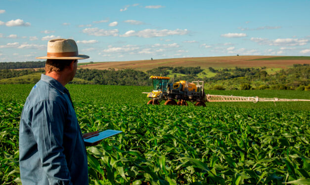 Colheita da segunda safra de milho: recorde de produção traz reflexões para o agro