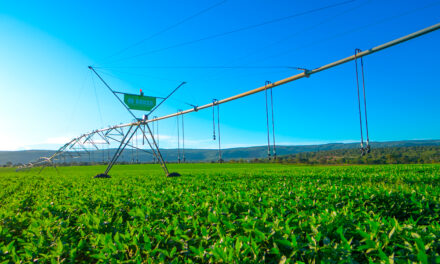 Bauer do Brasil leva soluções em irrigação à Superleite 2025
