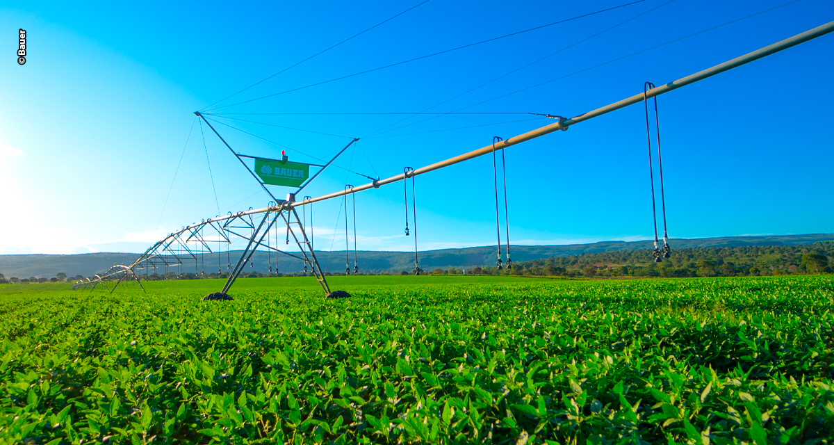 Bauer do Brasil leva soluções em irrigação à Superleite 2025