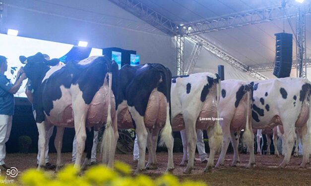 51º Expoleite começa com programação ampliada e estrutura renovada