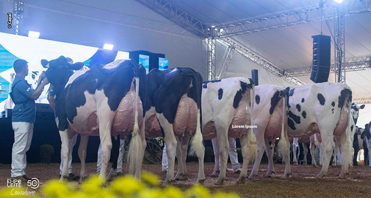 51º Expoleite começa com programação ampliada e estrutura renovada