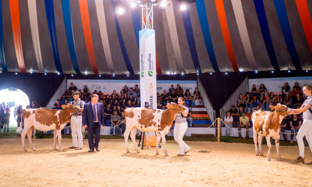 Mais de 550 animais vão participar do julgamento no Agroleite 2025