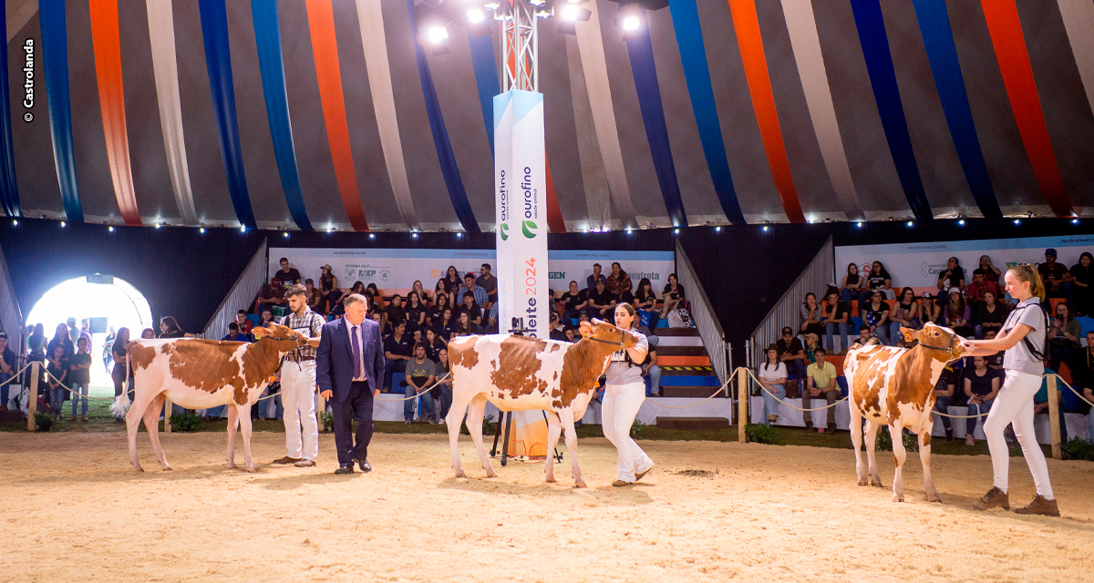 Mais de 550 animais vão participar do julgamento no Agroleite 2025