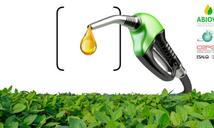 CEPEA/ABIOVE: Com safra recorde e avanço do processamento, PIB da cadeia da soja e do biodiesel deve ter forte expansão em 2025
