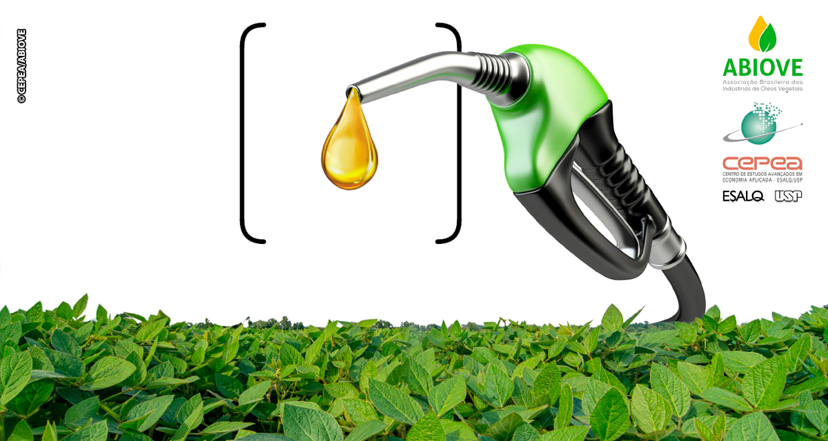 CEPEA/ABIOVE: Com safra recorde e avanço do processamento, PIB da cadeia da soja e do biodiesel deve ter forte expansão em 2025