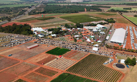 Coopercitrus Expo 2025: inovação, sustentabilidade e tecnologias de ponta
