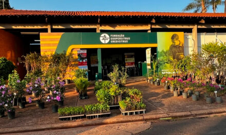 Com mais de mil nascentes recuperadas, FCC une projetos ambientais e educação de ponta para o Agro