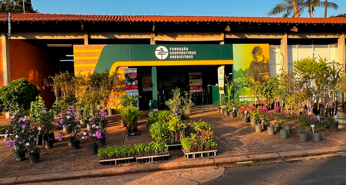 Com mais de mil nascentes recuperadas, FCC une projetos ambientais e educação de ponta para o Agro