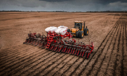 Plantio de precisão é fator decisivo para alcançar alta produtividade no campo