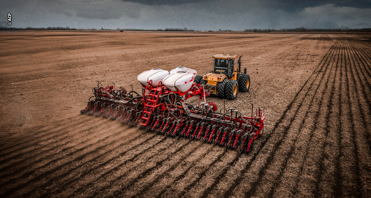 Plantio de precisão é fator decisivo para alcançar alta produtividade no campo