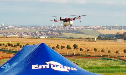 Drones ganham espaço nas lavouras brasileiras e viram opção para agricultores e prestadores de serviço