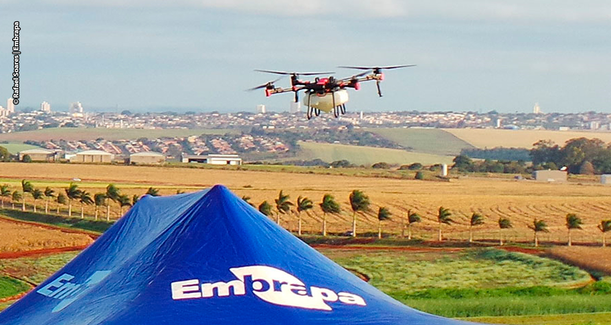Drones ganham espaço nas lavouras brasileiras e viram opção para agricultores e prestadores de serviço