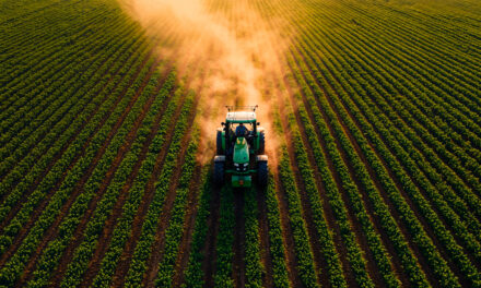 Mercado de insumos agropecuários enfrenta desafios, mas Fex Agro projeta crescer 62% em 2025