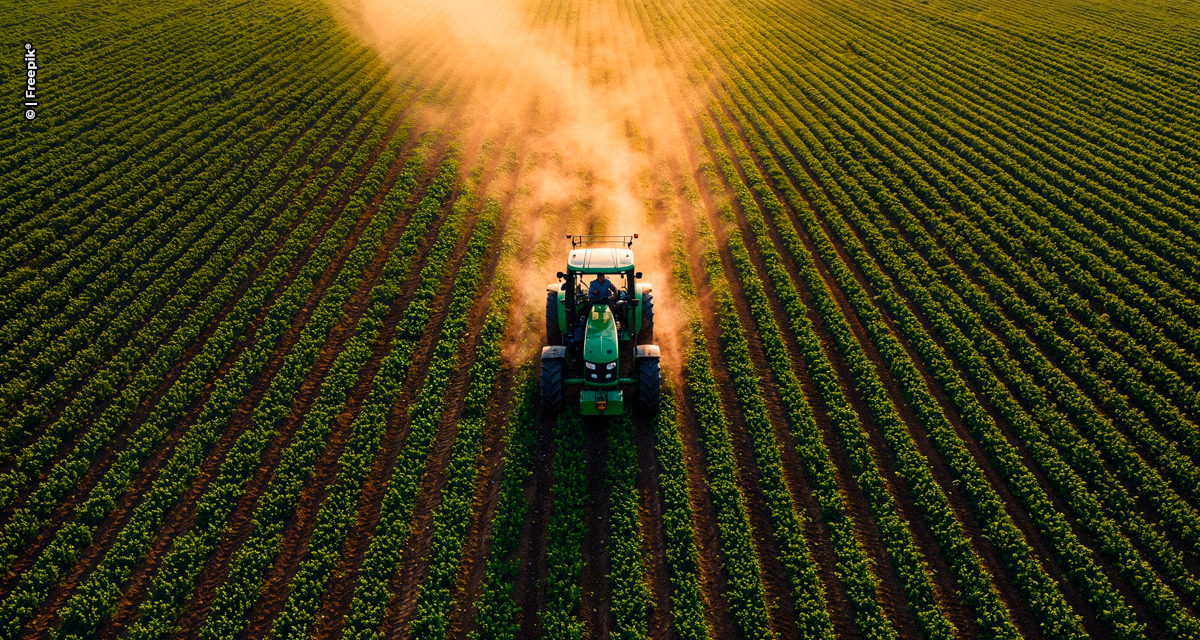 Mercado de insumos agropecuários enfrenta desafios, mas Fex Agro projeta crescer 62% em 2025