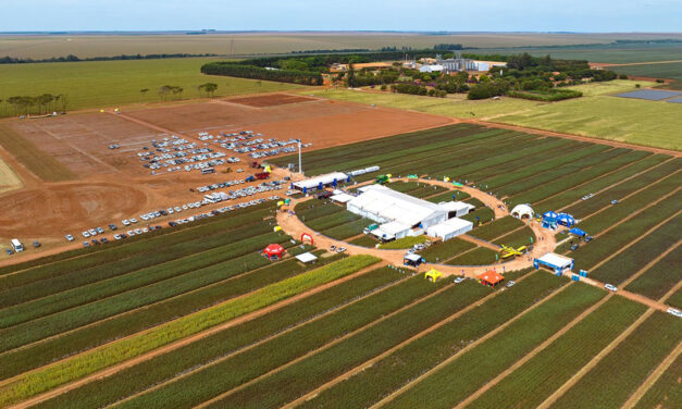 G.A.Tec Algodão 2025 promove imersão no futuro do algodão brasileiro